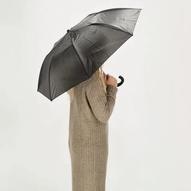 Beagles Seco Bajo Paraguas Con Mango Redondo