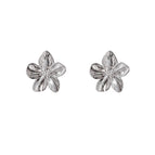 Silver (Stainless Steel)