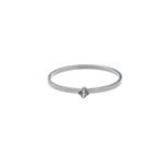 Silver (Stainless Steel)