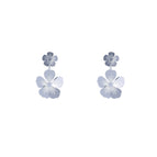 Silver (Stainless Steel)
