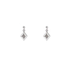 Silver (Stainless Steel)