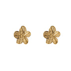 Gold (Stainless Steel)