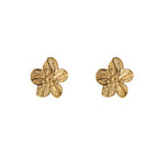Gold (Stainless Steel)